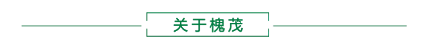 关于槐茂.png 关于槐茂.png