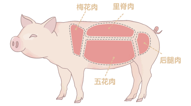 猪肉.gif