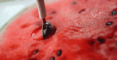 8ad6208607a946f0b93b0e0aadbc1251.gif